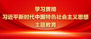 啊啊啊不要操我逼逼了的网站学习贯彻习近平新时代中国特色社会主义思想主题教育_fororder_ad-371X160(2)